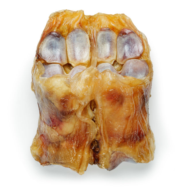 09 Кость Говяжья